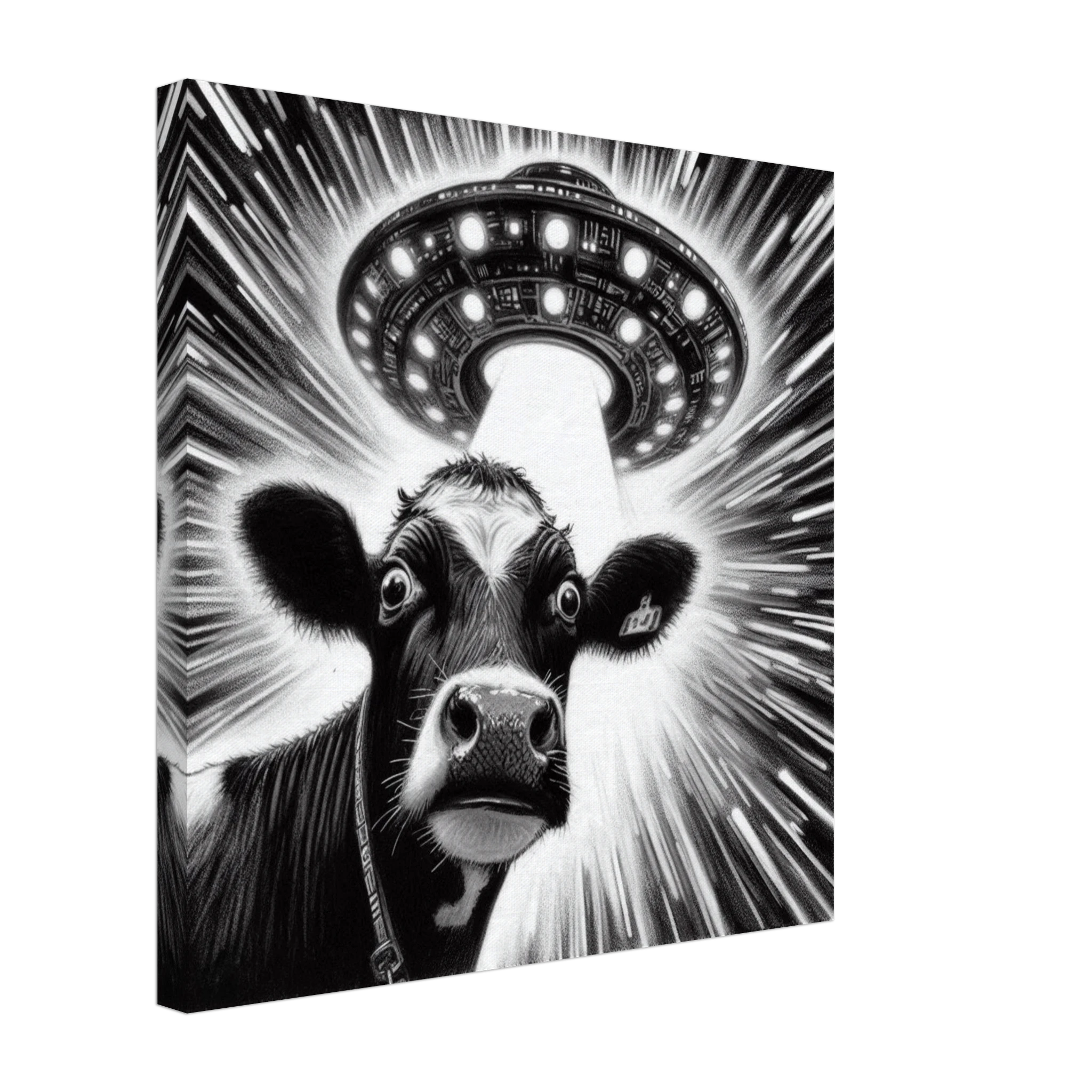 7c92d41f-56ee-4a7c-8e71-b7335fc2ab85