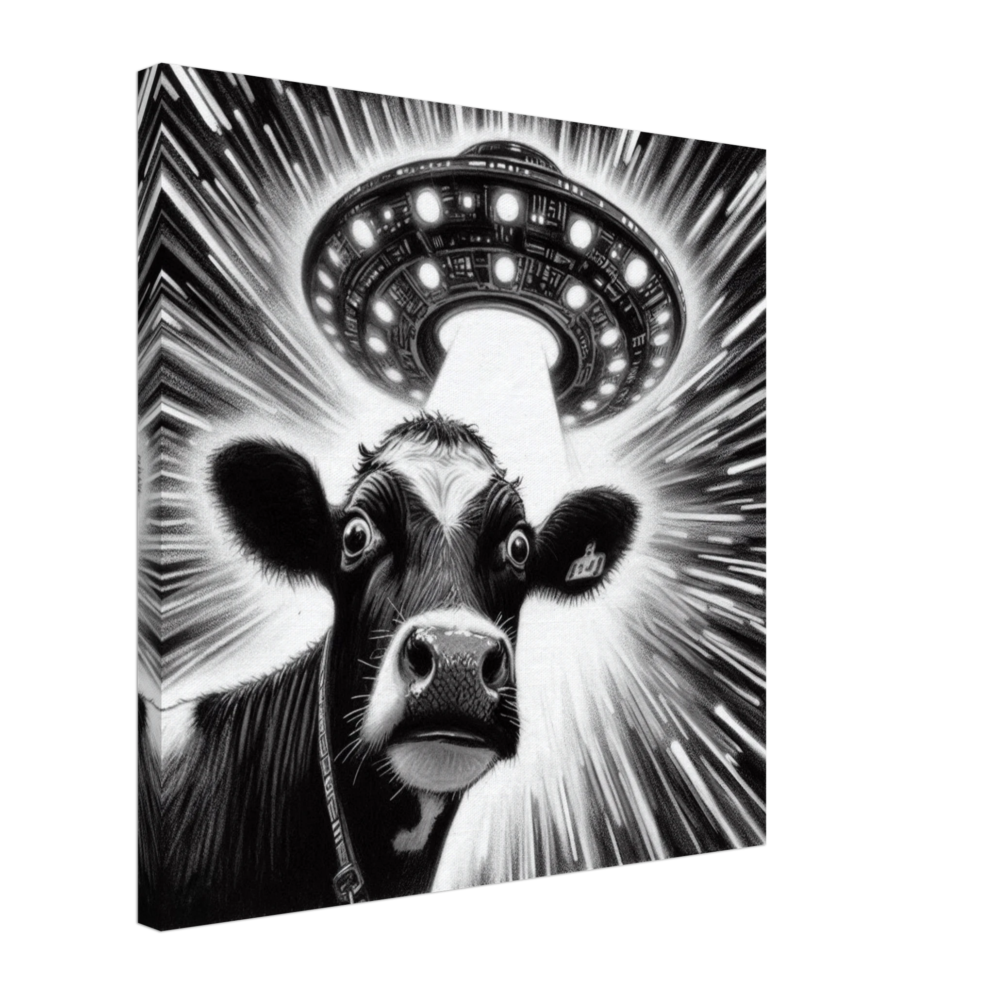 8833a87a-6f2e-4705-ba41-620fccc949de